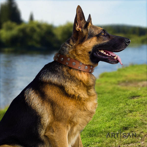 German-Shepherd perfect fit full grain leather collar with adornments for your dog