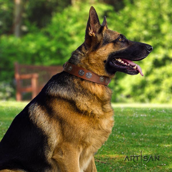 German-Shepherd comfortable natural genuine leather collar with adornments for your doggie