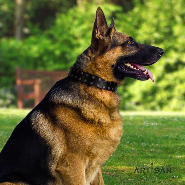 German-Shepherd convenient natural genuine leather collar with adornments for your four-legged friend