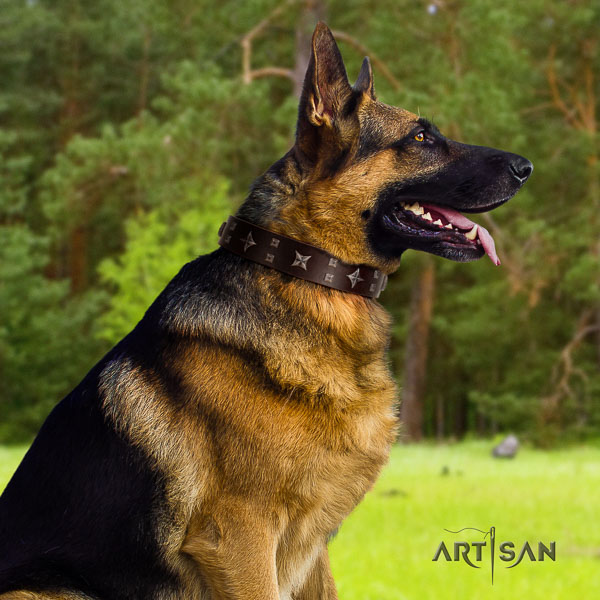 German-Shepherd amazing genuine leather collar with adornments for your four-legged friend