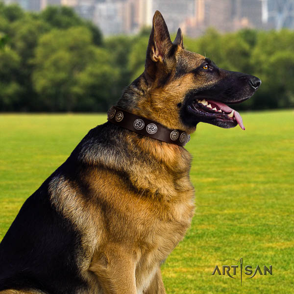 German-Shepherd impressive full grain leather collar with decorations for your four-legged friend