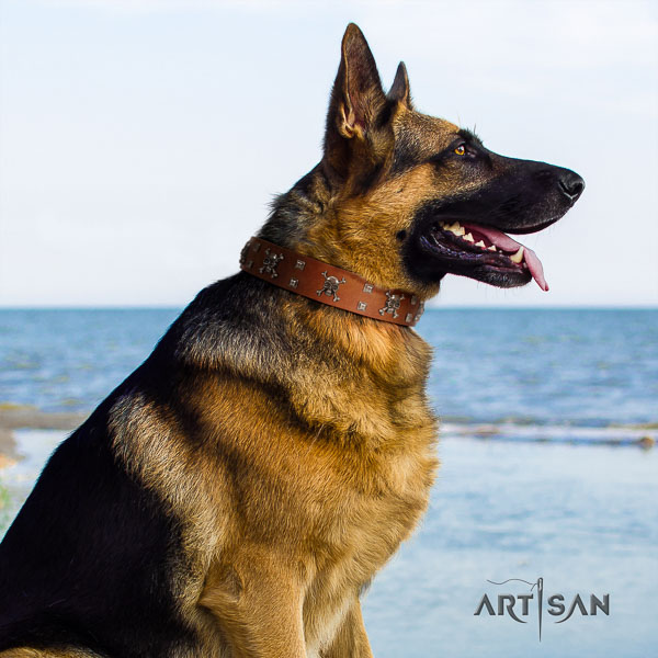 German-Shepherd comfortable leather collar with adornments for your dog