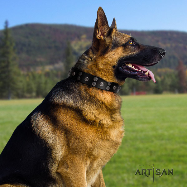 German-Shepherd handcrafted leather collar with studs for your dog
