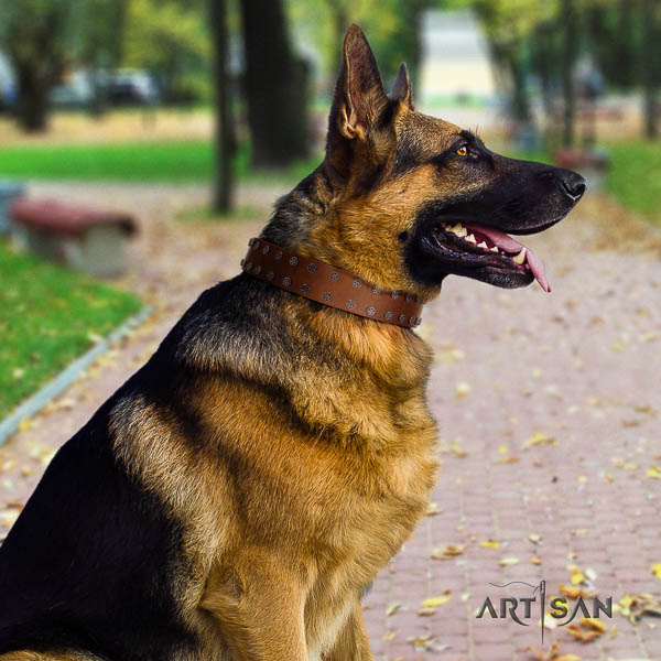 German-Shepherd significant full grain leather collar with studs for your four-legged friend