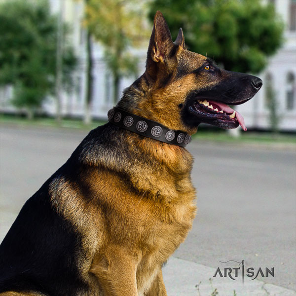 German-Shepherd convenient genuine leather collar with studs for your four-legged friend