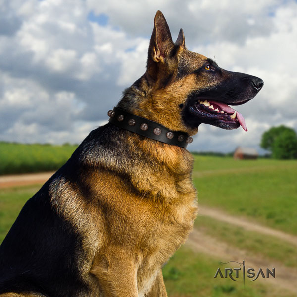 German-Shepherd adjustable full grain genuine leather collar with adornments for your pet