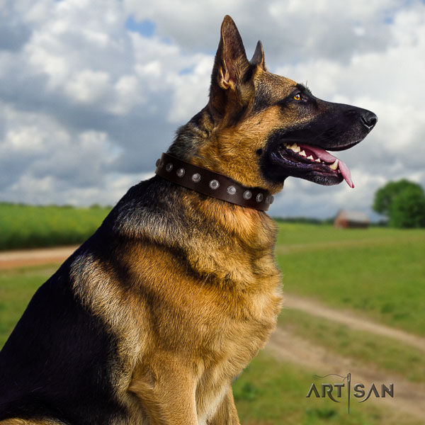 German-Shepherd designer full grain natural leather collar with adornments for your dog