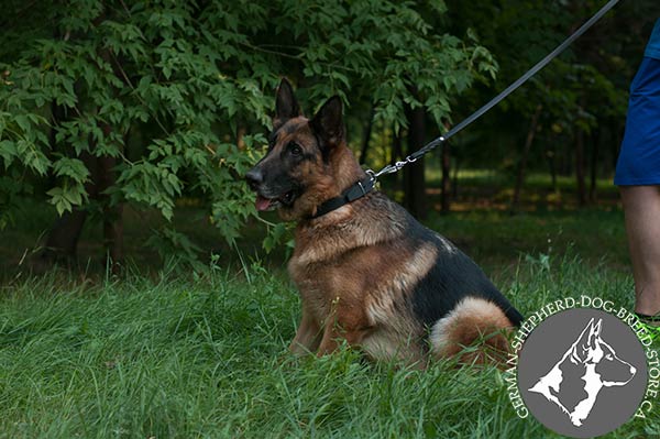 German-Shepherd black leather collar of classic design with d-ring for leash attachment for professional use