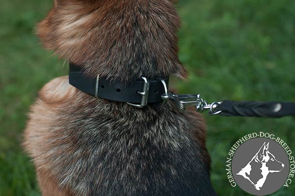 High-quality Leather Dog Collar with Nickel-plated Fittings
