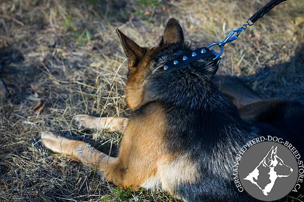 Leather German-Shepherd Collar with Smooth Shiny Studs