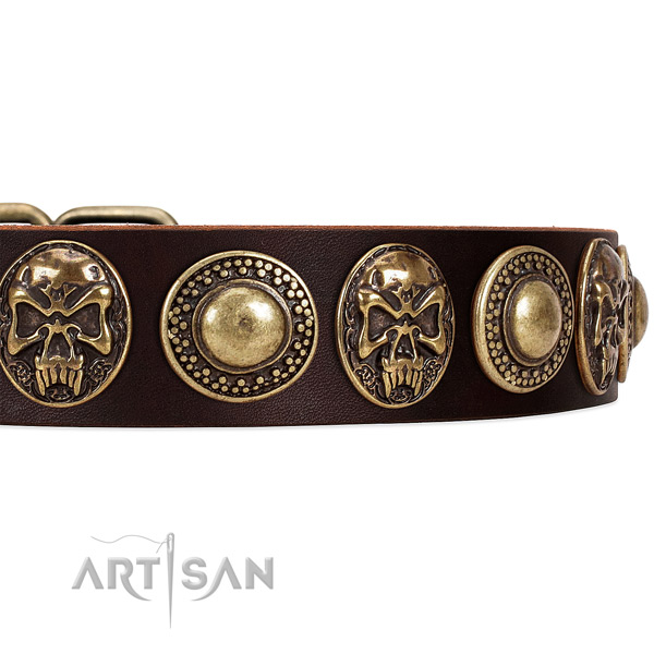 Natural genuine leather dog collar with studs for comfortable wearing