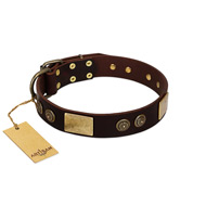 "Bow-Wow Effect" FDT Artisan Brown Leather German Shepherd Collar with Plates and Ornate Studs  "Bow-Wow Effect" FDT Artisan Brown Leather German Shepherd Collar with Plates and Ornate Studs