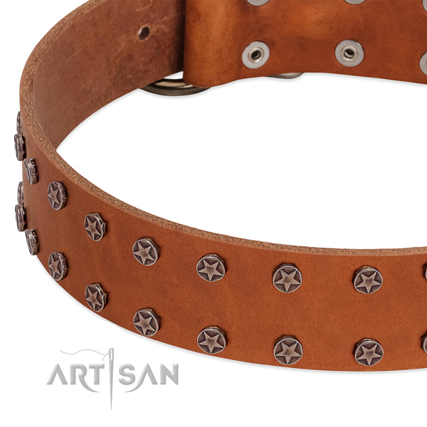 Comfortable leather dog collar for everyday walking