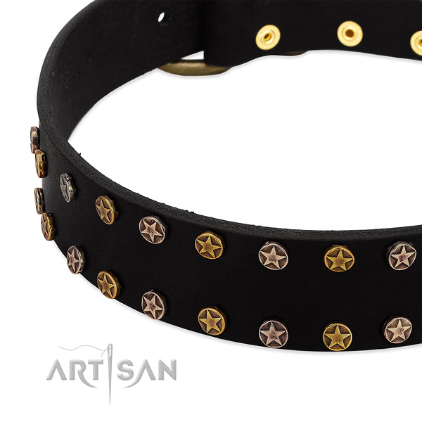 Inimitable adornments on full grain leather collar for your canine