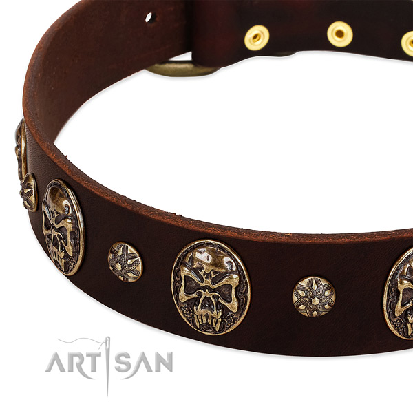 Rust resistant decorations on full grain natural leather dog collar for your doggie