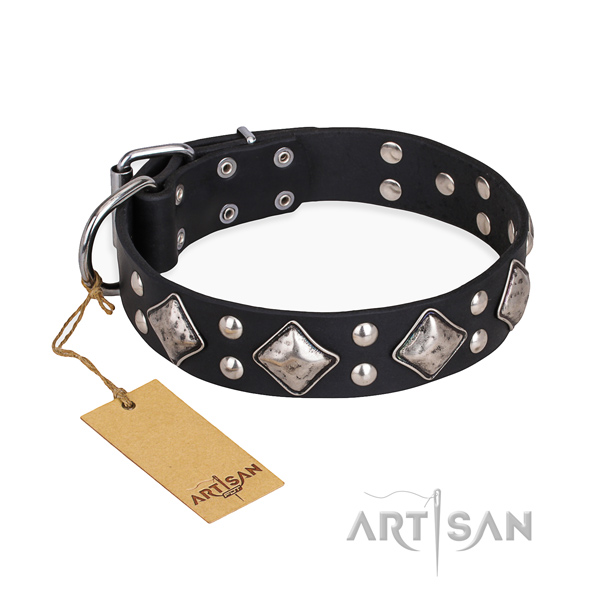 Easy wearing extraordinary dog collar with rust resistant buckle