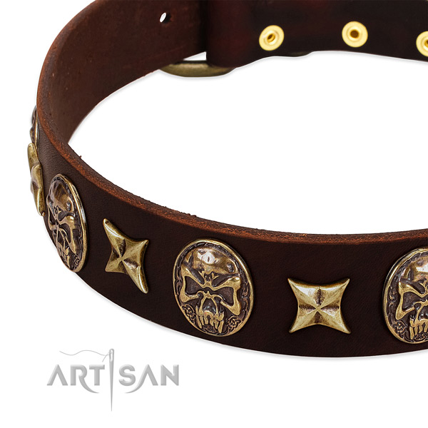 Strong traditional buckle on genuine leather dog collar for your pet