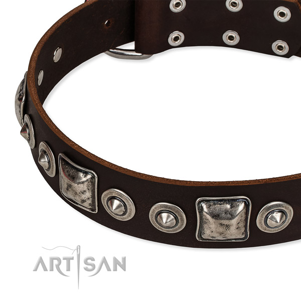 Full grain leather dog collar made of top rate material with studs