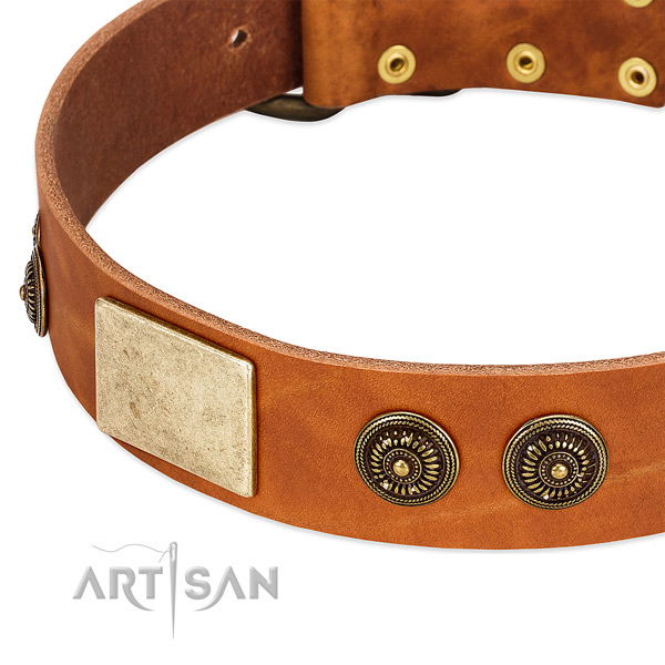 Perfect fit dog collar created for your beautiful four-legged friend