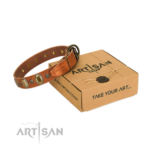 Handy use quality genuine leather dog collar with adornments