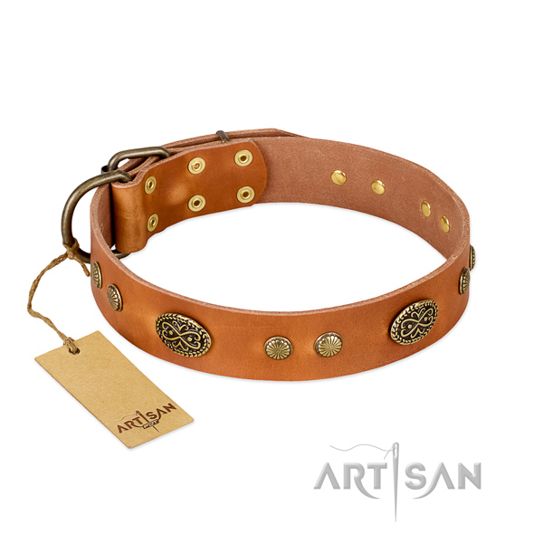 Rust resistant studs on full grain natural leather dog collar for your canine