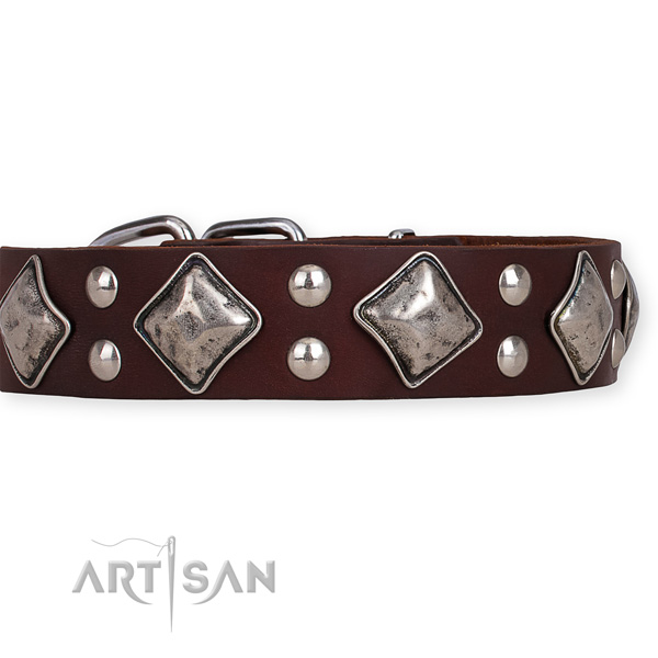 Genuine leather dog collar with stylish reliable decorations