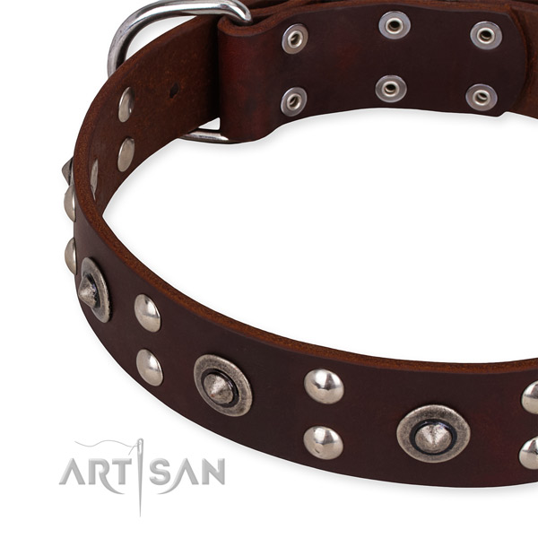 Full grain natural leather collar with rust resistant fittings for your lovely pet