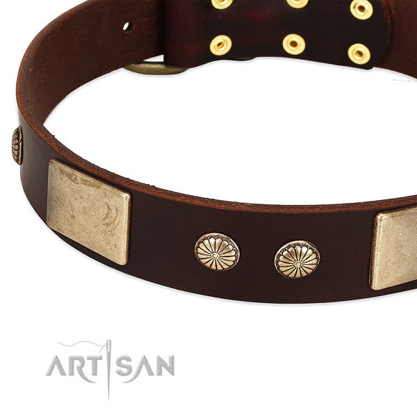 Rust resistant hardware on genuine leather dog collar for your pet