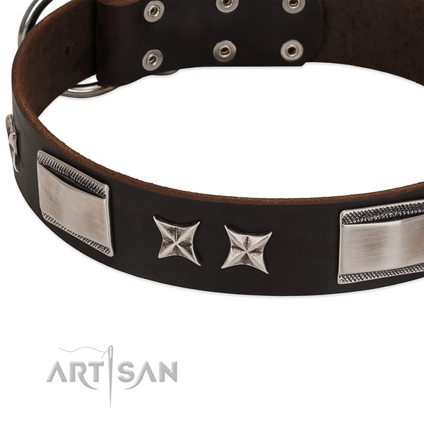 Impressive collar of full grain leather for your lovely pet