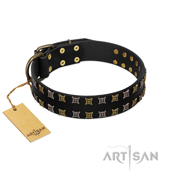 Durable full grain leather dog collar with decorations for your pet