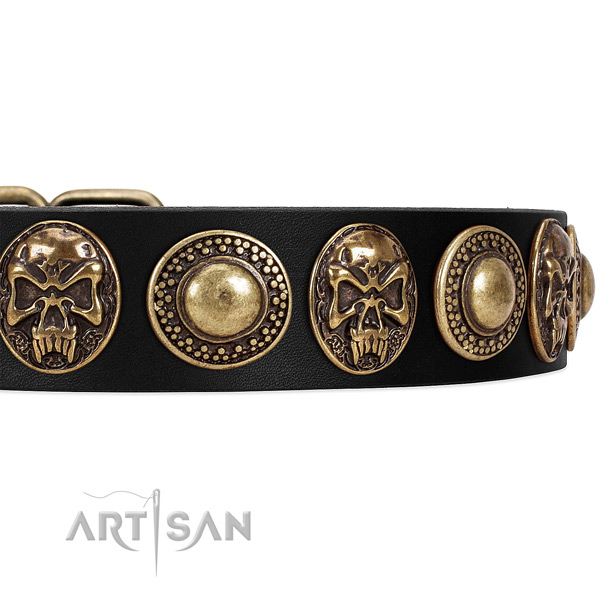 Full grain leather dog collar with embellishments for everyday walking