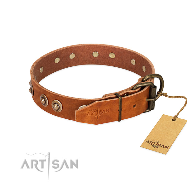Rust resistant decorations on leather dog collar for your four-legged friend