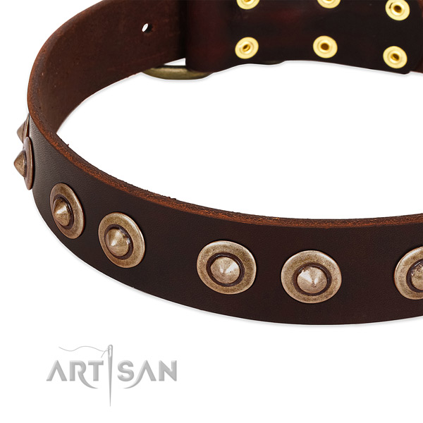 Corrosion proof buckle on full grain natural leather dog collar for your four-legged friend