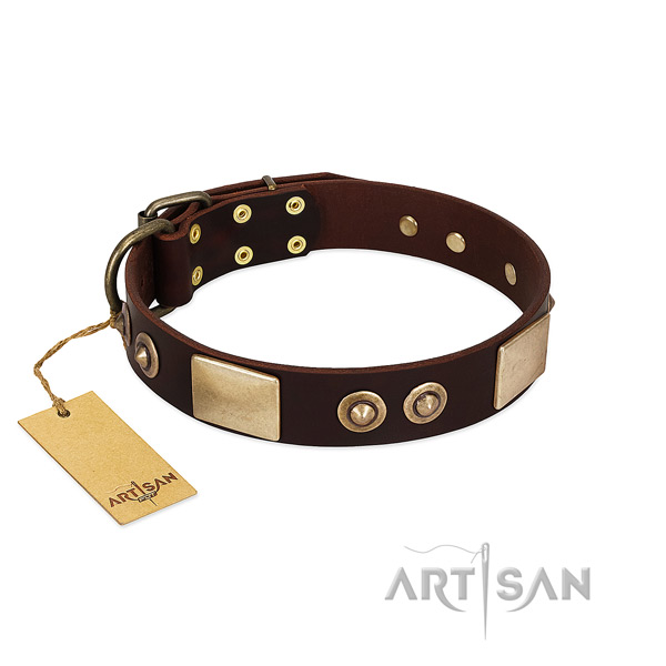 Easy wearing genuine leather dog collar for daily walking your canine