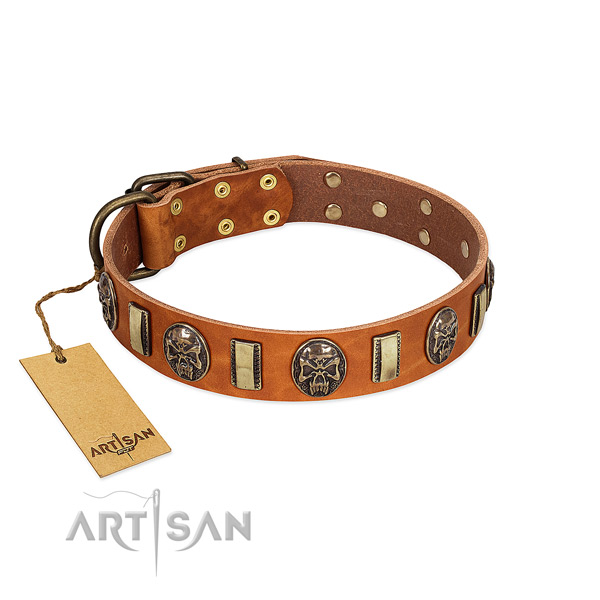 Top quality full grain genuine leather dog collar for handy use