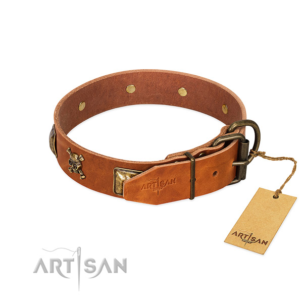 Significant natural leather dog collar with rust resistant decorations