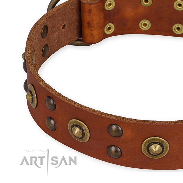 Full grain natural leather collar with corrosion proof buckle for your handsome pet