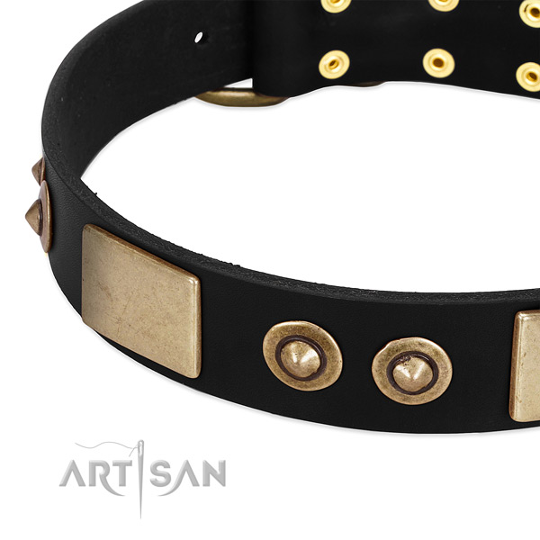 Durable D-ring on leather dog collar for your pet