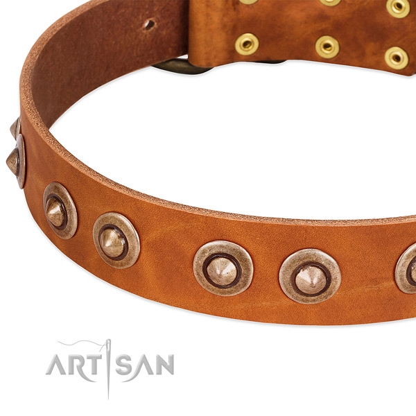 Corrosion resistant decorations on full grain natural leather dog collar for your dog