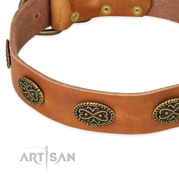 Comfortable leather collar for your beautiful four-legged friend