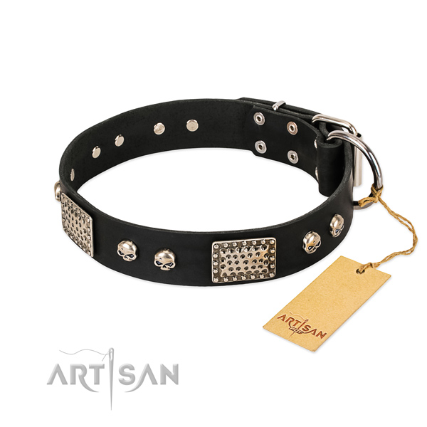 Easy wearing full grain natural leather dog collar for stylish walking your doggie