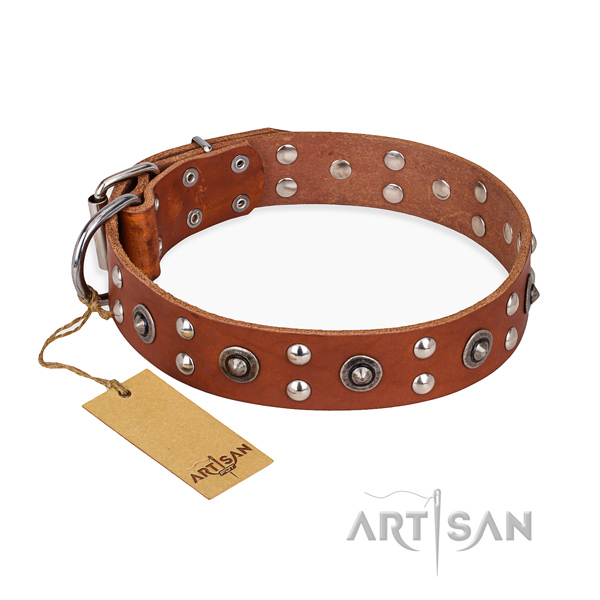 Stylish walking easy wearing dog collar with reliable fittings