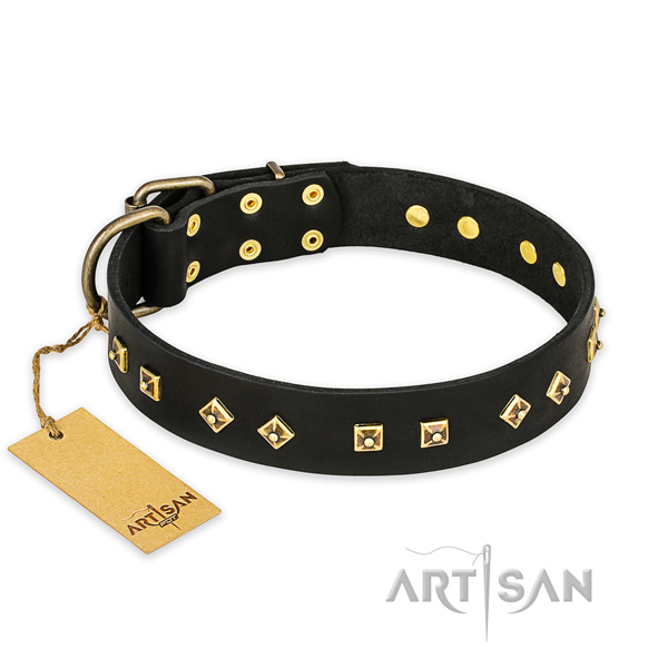 Designer genuine leather dog collar with strong fittings