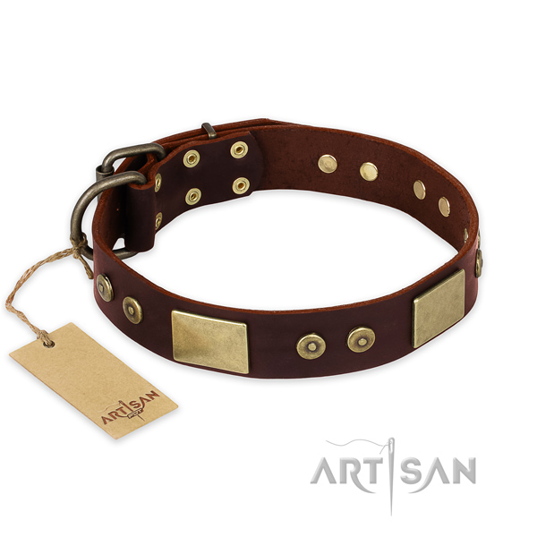Incredible full grain genuine leather dog collar for walking