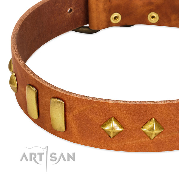 Everyday use natural leather dog collar with top notch decorations