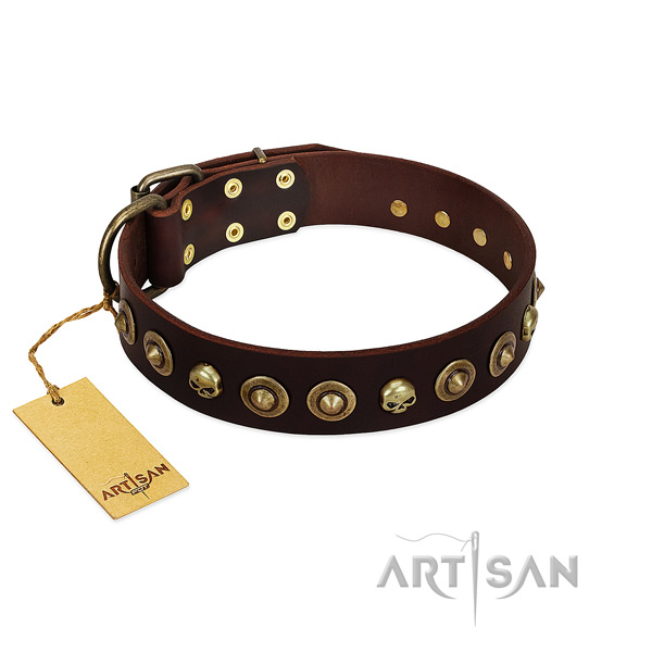 Leather collar with designer adornments for your pet