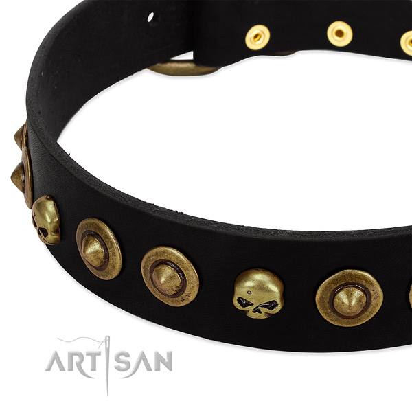 Genuine leather dog collar with exquisite studs