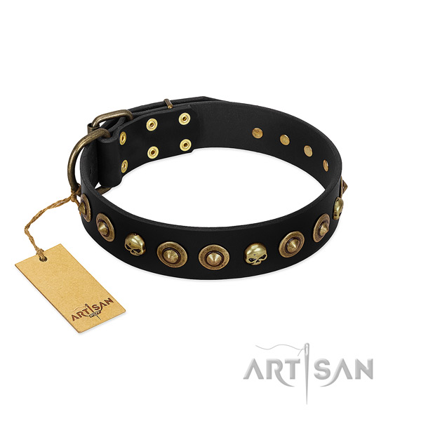Full grain natural leather collar with unique adornments for your doggie