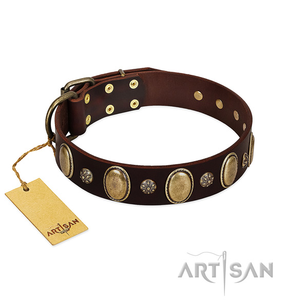 Comfy wearing reliable full grain leather dog collar with studs