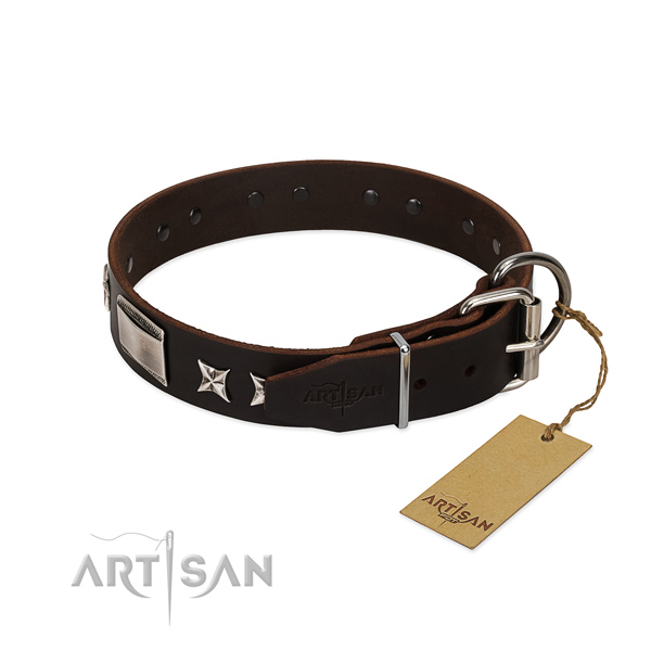 Amazing collar of full grain genuine leather for your stylish doggie
